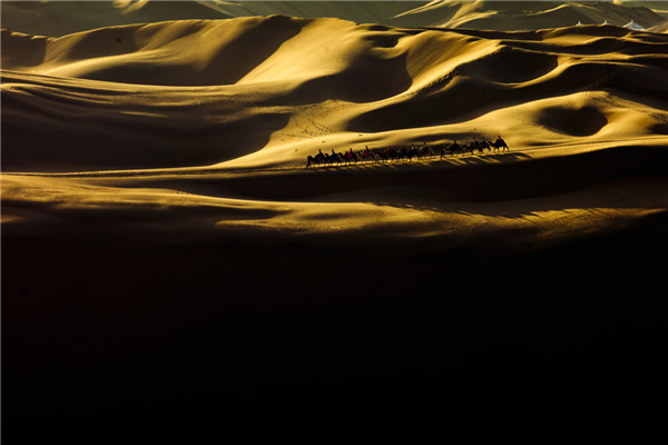 响沙湾,沙漠,度假地,景区,旅游,图片,照片,摄影,内蒙古响沙湾,内蒙古旅游,鄂尔多斯市旅游,莲花酒店,莲花度假酒店,莲沙度假岛,福沙度假岛,悦沙休闲岛,仙沙休闲岛,一粒沙度假村,在线预订,预定,旅行社,AAAAA,5A级旅游景区,库布齐,库布其沙漠,库布其旅游