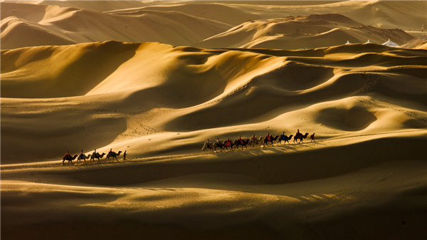 响沙湾,沙漠,度假地,景区,旅游,图片,照片,摄影,内蒙古响沙湾,内蒙古旅游,鄂尔多斯市旅游,莲花酒店,莲花度假酒店,莲沙度假岛,福沙度假岛,悦沙休闲岛,仙沙休闲岛,一粒沙度假村,在线预订,预定,旅行社,AAAAA,5A级旅游景区,库布齐,库布其沙漠,库布其旅游