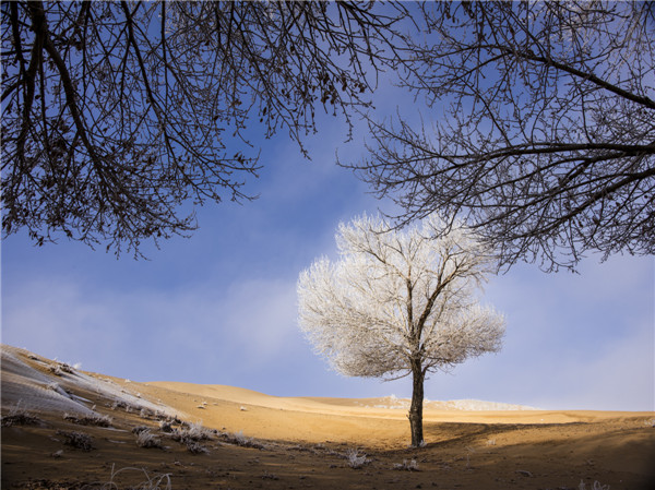 响沙湾,沙漠,度假地,景区,旅游,图片,照片,摄影,内蒙古响沙湾,内蒙古旅游,鄂尔多斯市旅游,莲花酒店,莲花度假酒店,莲沙度假岛,福沙度假岛,悦沙休闲岛,仙沙休闲岛,一粒沙度假村,在线预订,预定,旅行社,AAAAA,5A级旅游景区,库布齐,库布其沙漠,库布其旅游