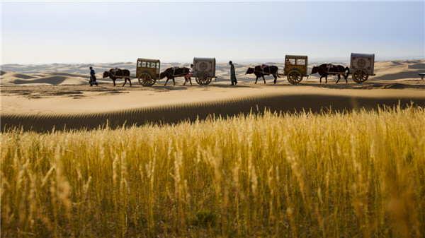 响沙湾,沙漠,度假地,景区,旅游,图片,照片,摄影,内蒙古响沙湾,内蒙古旅游,鄂尔多斯市旅游,莲花酒店,莲花度假酒店,莲沙度假岛,福沙度假岛,悦沙休闲岛,仙沙休闲岛,一粒沙度假村,在线预订,预定,旅行社,AAAAA,5A级旅游景区,库布齐,库布其沙漠,库布其旅游