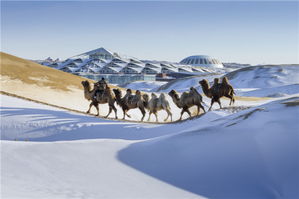 响沙湾,沙漠,度假地,景区,旅游,图片,照片,摄影,内蒙古响沙湾,内蒙古旅游,鄂尔多斯市旅游,莲花酒店,莲花度假酒店,莲沙度假岛,福沙度假岛,悦沙休闲岛,仙沙休闲岛,一粒沙度假村,在线预订,预定,旅行社,AAAAA,5A级旅游景区,库布齐,库布其沙漠,库布其旅游