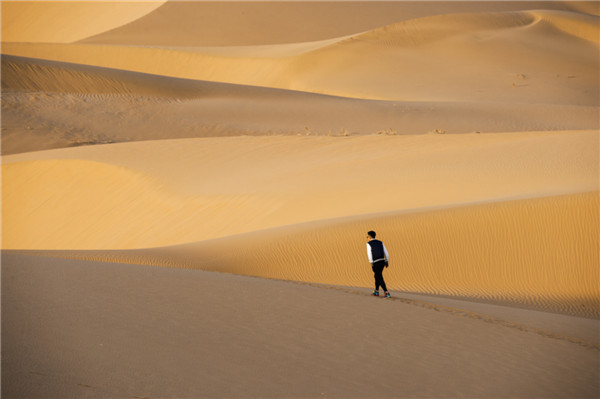 响沙湾,沙漠,度假地,景区,旅游,图片,照片,摄影,内蒙古响沙湾,内蒙古旅游,鄂尔多斯市旅游,莲花酒店,莲花度假酒店,莲沙度假岛,福沙度假岛,悦沙休闲岛,仙沙休闲岛,一粒沙度假村,在线预订,预定,旅行社,AAAAA,5A级旅游景区,库布齐,库布其沙漠,库布其旅游