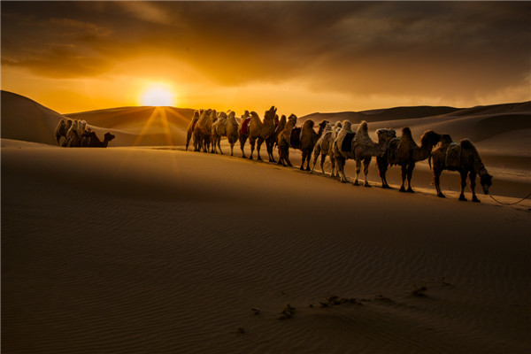 响沙湾,沙漠,度假地,景区,旅游,图片,照片,摄影,内蒙古响沙湾,内蒙古旅游,鄂尔多斯市旅游,莲花酒店,莲花度假酒店,莲沙度假岛,福沙度假岛,悦沙休闲岛,仙沙休闲岛,一粒沙度假村,在线预订,预定,旅行社,AAAAA,5A级旅游景区,库布齐,库布其沙漠,库布其旅游