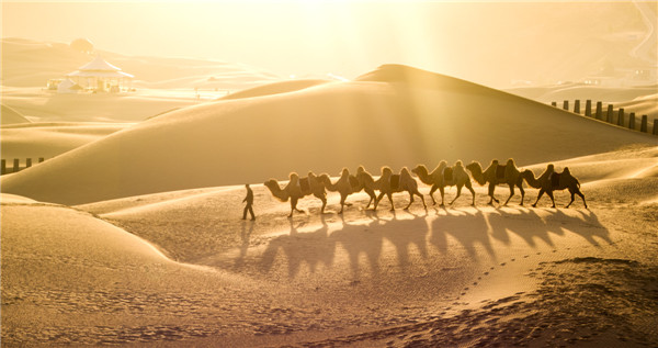 响沙湾,沙漠,度假地,景区,旅游,图片,照片,摄影,内蒙古响沙湾,内蒙古旅游,鄂尔多斯市旅游,莲花酒店,莲花度假酒店,莲沙度假岛,福沙度假岛,悦沙休闲岛,仙沙休闲岛,一粒沙度假村,在线预订,预定,旅行社,AAAAA,5A级旅游景区,库布齐,库布其沙漠,库布其旅游