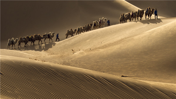 响沙湾,沙漠,度假地,景区,旅游,图片,照片,摄影,内蒙古响沙湾,内蒙古旅游,鄂尔多斯市旅游,莲花酒店,莲花度假酒店,莲沙度假岛,福沙度假岛,悦沙休闲岛,仙沙休闲岛,一粒沙度假村,在线预订,预定,旅行社,AAAAA,5A级旅游景区,库布齐,库布其沙漠,库布其旅游