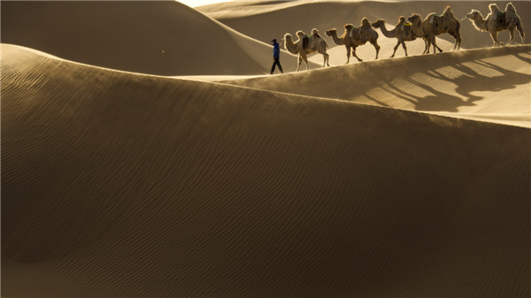 响沙湾,沙漠,度假地,景区,旅游,图片,照片,摄影,内蒙古响沙湾,内蒙古旅游,鄂尔多斯市旅游,莲花酒店,莲花度假酒店,莲沙度假岛,福沙度假岛,悦沙休闲岛,仙沙休闲岛,一粒沙度假村,在线预订,预定,旅行社,AAAAA,5A级旅游景区,库布齐,库布其沙漠,库布其旅游