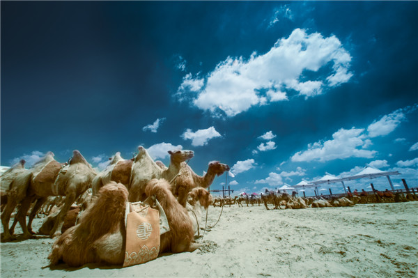 响沙湾,沙漠,度假地,景区,旅游,图片,照片,摄影,内蒙古响沙湾,内蒙古旅游,鄂尔多斯市旅游,莲花酒店,莲花度假酒店,莲沙度假岛,福沙度假岛,悦沙休闲岛,仙沙休闲岛,一粒沙度假村,在线预订,预定,旅行社,AAAAA,5A级旅游景区,库布齐,库布其沙漠,库布其旅游