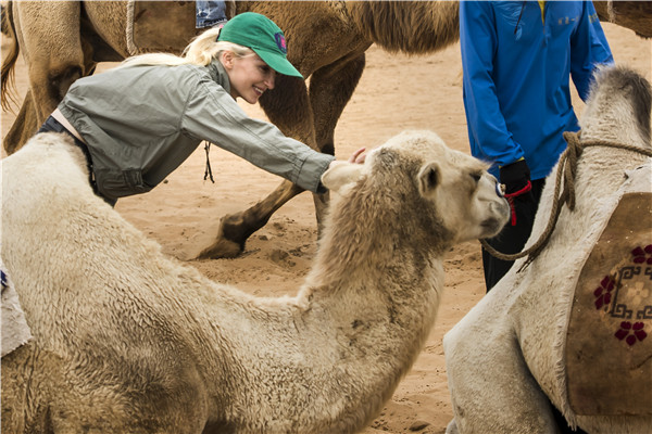 响沙湾,沙漠,度假地,景区,旅游,图片,照片,摄影,内蒙古响沙湾,内蒙古旅游,鄂尔多斯市旅游,莲花酒店,莲花度假酒店,莲沙度假岛,福沙度假岛,悦沙休闲岛,仙沙休闲岛,一粒沙度假村,在线预订,预定,旅行社,AAAAA,5A级旅游景区,库布齐,库布其沙漠,库布其旅游