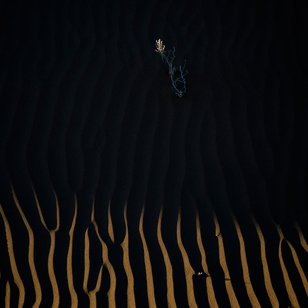 响沙湾,沙漠,度假地,景区,旅游,图片,照片,摄影,内蒙古响沙湾,内蒙古旅游,鄂尔多斯市旅游,莲花酒店,莲花度假酒店,莲沙度假岛,福沙度假岛,悦沙休闲岛,仙沙休闲岛,一粒沙度假村,在线预订,预定,旅行社,AAAAA,5A级旅游景区,库布齐,库布其沙漠,库布其旅游