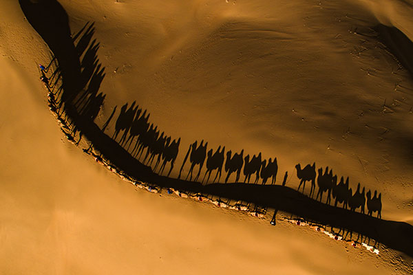 响沙湾,沙漠,度假地,景区,旅游,图片,照片,摄影,内蒙古响沙湾,内蒙古旅游,鄂尔多斯市旅游,莲花酒店,莲花度假酒店,莲沙度假岛,福沙度假岛,悦沙休闲岛,仙沙休闲岛,一粒沙度假村,在线预订,预定,旅行社,AAAAA,5A级旅游景区,库布齐,库布其沙漠,库布其旅游