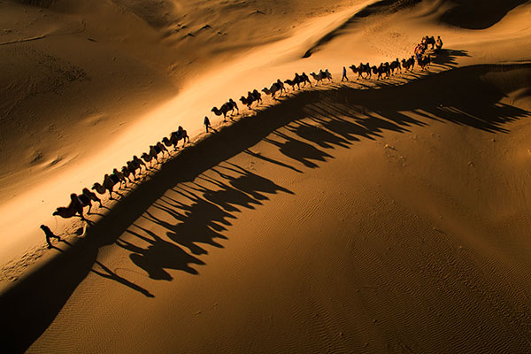 响沙湾,沙漠,度假地,景区,旅游,图片,照片,摄影,内蒙古响沙湾,内蒙古旅游,鄂尔多斯市旅游,莲花酒店,莲花度假酒店,莲沙度假岛,福沙度假岛,悦沙休闲岛,仙沙休闲岛,一粒沙度假村,在线预订,预定,旅行社,AAAAA,5A级旅游景区,库布齐,库布其沙漠,库布其旅游
