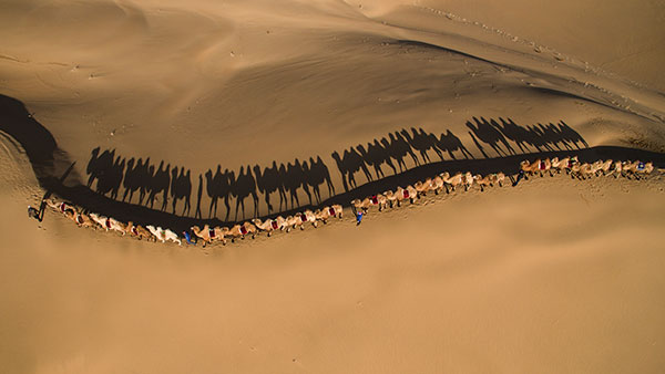 响沙湾,沙漠,度假地,景区,旅游,图片,照片,摄影,内蒙古响沙湾,内蒙古旅游,鄂尔多斯市旅游,莲花酒店,莲花度假酒店,莲沙度假岛,福沙度假岛,悦沙休闲岛,仙沙休闲岛,一粒沙度假村,在线预订,预定,旅行社,AAAAA,5A级旅游景区,库布齐,库布其沙漠,库布其旅游