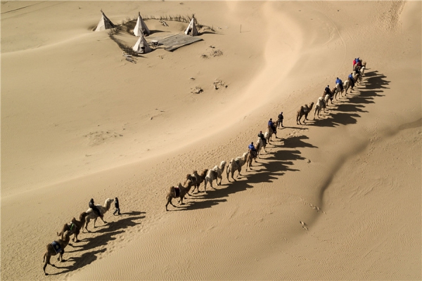 响沙湾,沙漠,度假地,景区,旅游,图片,照片,摄影,内蒙古响沙湾,内蒙古旅游,鄂尔多斯市旅游,莲花酒店,莲花度假酒店,莲沙度假岛,福沙度假岛,悦沙休闲岛,仙沙休闲岛,一粒沙度假村,在线预订,预定,旅行社,AAAAA,5A级旅游景区,库布齐,库布其沙漠,库布其旅游