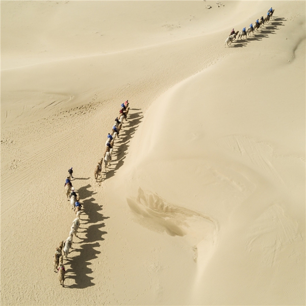 响沙湾,沙漠,度假地,景区,旅游,图片,照片,摄影,内蒙古响沙湾,内蒙古旅游,鄂尔多斯市旅游,莲花酒店,莲花度假酒店,莲沙度假岛,福沙度假岛,悦沙休闲岛,仙沙休闲岛,一粒沙度假村,在线预订,预定,旅行社,AAAAA,5A级旅游景区,库布齐,库布其沙漠,库布其旅游