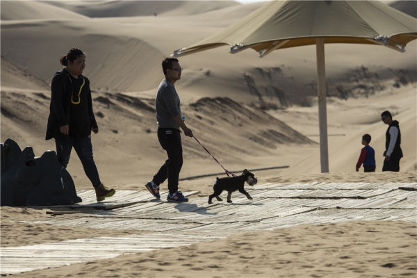 响沙湾,沙漠,度假地,景区,旅游,图片,照片,摄影,内蒙古响沙湾,内蒙古旅游,鄂尔多斯市旅游,莲花酒店,莲花度假酒店,莲沙度假岛,福沙度假岛,悦沙休闲岛,仙沙休闲岛,一粒沙度假村,在线预订,预定,旅行社,AAAAA,5A级旅游景区,库布齐,库布其沙漠,库布其旅游