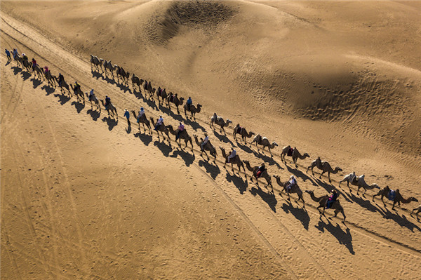 响沙湾,沙漠,度假地,景区,旅游,图片,照片,摄影,内蒙古响沙湾,内蒙古旅游,鄂尔多斯市旅游,莲花酒店,莲花度假酒店,莲沙度假岛,福沙度假岛,悦沙休闲岛,仙沙休闲岛,一粒沙度假村,在线预订,预定,旅行社,AAAAA,5A级旅游景区,库布齐,库布其沙漠,库布其旅游