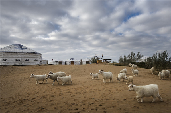 响沙湾,沙漠,度假地,景区,旅游,图片,照片,摄影,内蒙古响沙湾,内蒙古旅游,鄂尔多斯市旅游,莲花酒店,莲花度假酒店,莲沙度假岛,福沙度假岛,悦沙休闲岛,仙沙休闲岛,一粒沙度假村,在线预订,预定,旅行社,AAAAA,5A级旅游景区,库布齐,库布其沙漠,库布其旅游