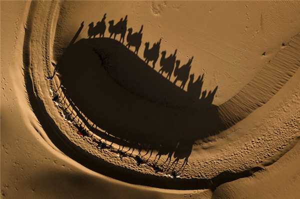 响沙湾,沙漠,度假地,景区,旅游,图片,照片,摄影,内蒙古响沙湾,内蒙古旅游,鄂尔多斯市旅游,莲花酒店,莲花度假酒店,莲沙度假岛,福沙度假岛,悦沙休闲岛,仙沙休闲岛,一粒沙度假村,在线预订,预定,旅行社,AAAAA,5A级旅游景区,库布齐,库布其沙漠,库布其旅游