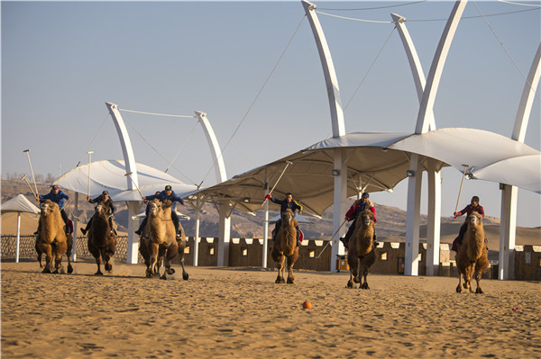 响沙湾,沙漠,度假地,景区,旅游,图片,照片,摄影,内蒙古响沙湾,内蒙古旅游,鄂尔多斯市旅游,莲花酒店,莲花度假酒店,莲沙度假岛,福沙度假岛,悦沙休闲岛,仙沙休闲岛,一粒沙度假村,在线预订,预定,旅行社,AAAAA,5A级旅游景区,库布齐,库布其沙漠,库布其旅游