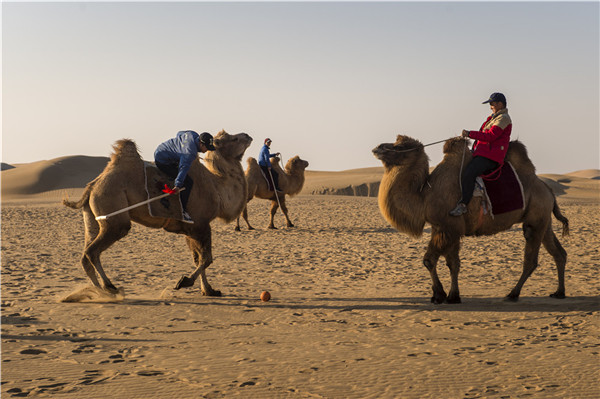 响沙湾,沙漠,度假地,景区,旅游,图片,照片,摄影,内蒙古响沙湾,内蒙古旅游,鄂尔多斯市旅游,莲花酒店,莲花度假酒店,莲沙度假岛,福沙度假岛,悦沙休闲岛,仙沙休闲岛,一粒沙度假村,在线预订,预定,旅行社,AAAAA,5A级旅游景区,库布齐,库布其沙漠,库布其旅游