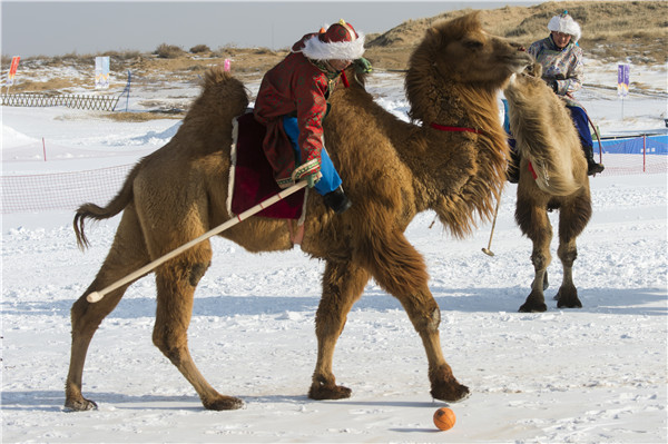 响沙湾,沙漠,度假地,景区,旅游,图片,照片,摄影,内蒙古响沙湾,内蒙古旅游,鄂尔多斯市旅游,莲花酒店,莲花度假酒店,莲沙度假岛,福沙度假岛,悦沙休闲岛,仙沙休闲岛,一粒沙度假村,在线预订,预定,旅行社,AAAAA,5A级旅游景区,库布齐,库布其沙漠,库布其旅游