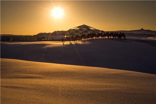 响沙湾,沙漠,度假地,景区,旅游,图片,照片,摄影,内蒙古响沙湾,内蒙古旅游,鄂尔多斯市旅游,莲花酒店,莲花度假酒店,莲沙度假岛,福沙度假岛,悦沙休闲岛,仙沙休闲岛,一粒沙度假村,在线预订,预定,旅行社,AAAAA,5A级旅游景区,库布齐,库布其沙漠,库布其旅游