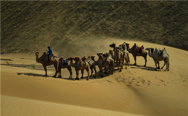 响沙湾,沙漠,度假地,景区,旅游,图片,照片,摄影,内蒙古响沙湾,内蒙古旅游,鄂尔多斯市旅游,莲花酒店,莲花度假酒店,莲沙度假岛,福沙度假岛,悦沙休闲岛,仙沙休闲岛,一粒沙度假村,在线预订,预定,旅行社,AAAAA,5A级旅游景区,库布齐,库布其沙漠,库布其旅游