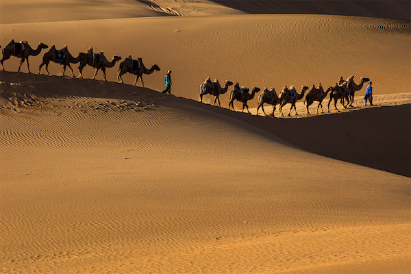 响沙湾,沙漠,度假地,景区,旅游,图片,照片,摄影,内蒙古响沙湾,内蒙古旅游,鄂尔多斯市旅游,莲花酒店,莲花度假酒店,莲沙度假岛,福沙度假岛,悦沙休闲岛,仙沙休闲岛,一粒沙度假村,在线预订,预定,旅行社,AAAAA,5A级旅游景区,库布齐,库布其沙漠,库布其旅游