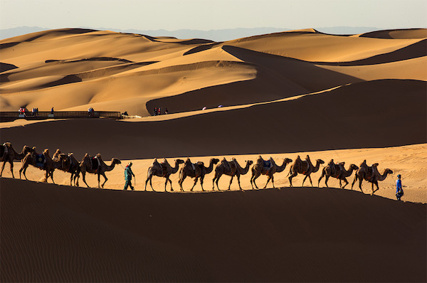 响沙湾,沙漠,度假地,景区,旅游,图片,照片,摄影,内蒙古响沙湾,内蒙古旅游,鄂尔多斯市旅游,莲花酒店,莲花度假酒店,莲沙度假岛,福沙度假岛,悦沙休闲岛,仙沙休闲岛,一粒沙度假村,在线预订,预定,旅行社,AAAAA,5A级旅游景区,库布齐,库布其沙漠,库布其旅游