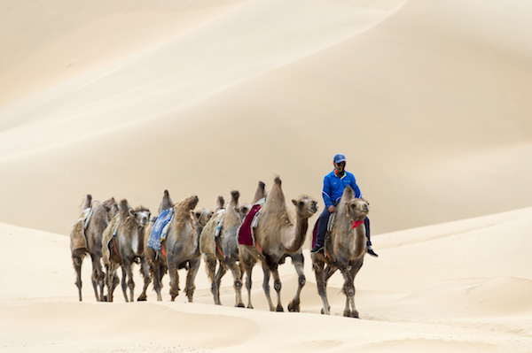 响沙湾,沙漠,度假地,景区,旅游,图片,照片,摄影,内蒙古响沙湾,内蒙古旅游,鄂尔多斯市旅游,莲花酒店,莲花度假酒店,莲沙度假岛,福沙度假岛,悦沙休闲岛,仙沙休闲岛,一粒沙度假村,在线预订,预定,旅行社,AAAAA,5A级旅游景区,库布齐,库布其沙漠,库布其旅游