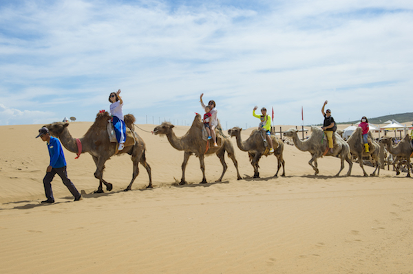 响沙湾,沙漠,度假地,景区,旅游,图片,照片,摄影,内蒙古响沙湾,内蒙古旅游,鄂尔多斯市旅游,莲花酒店,莲花度假酒店,莲沙度假岛,福沙度假岛,悦沙休闲岛,仙沙休闲岛,一粒沙度假村,在线预订,预定,旅行社,AAAAA,5A级旅游景区,库布齐,库布其沙漠,库布其旅游
