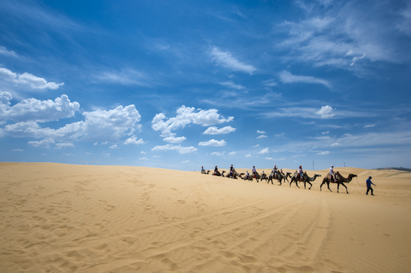 响沙湾,沙漠,度假地,景区,旅游,图片,照片,摄影,内蒙古响沙湾,内蒙古旅游,鄂尔多斯市旅游,莲花酒店,莲花度假酒店,莲沙度假岛,福沙度假岛,悦沙休闲岛,仙沙休闲岛,一粒沙度假村,在线预订,预定,旅行社,AAAAA,5A级旅游景区,库布齐,库布其沙漠,库布其旅游