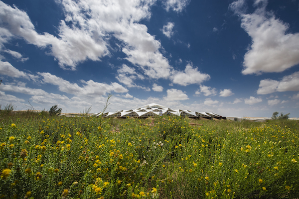 响沙湾,沙漠,度假地,景区,旅游,图片,照片,摄影,内蒙古响沙湾,内蒙古旅游,鄂尔多斯市旅游,莲花酒店,莲花度假酒店,莲沙度假岛,福沙度假岛,悦沙休闲岛,仙沙休闲岛,一粒沙度假村,在线预订,预定,旅行社,AAAAA,5A级旅游景区,库布齐,库布其沙漠,库布其旅游