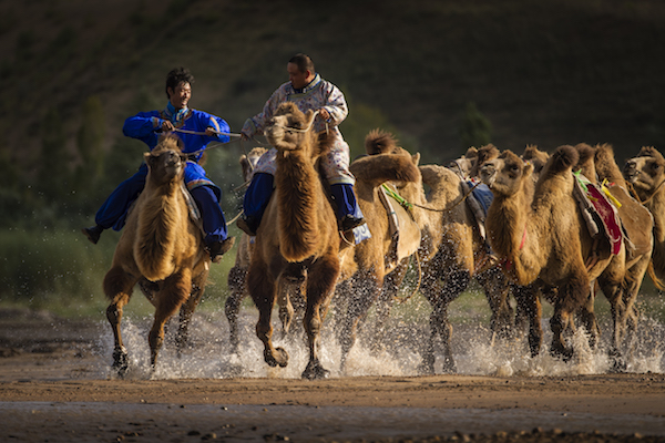 响沙湾,沙漠,度假地,景区,旅游,图片,照片,摄影,内蒙古响沙湾,内蒙古旅游,鄂尔多斯市旅游,莲花酒店,莲花度假酒店,莲沙度假岛,福沙度假岛,悦沙休闲岛,仙沙休闲岛,一粒沙度假村,在线预订,预定,旅行社,AAAAA,5A级旅游景区,库布齐,库布其沙漠,库布其旅游