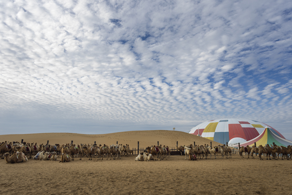 响沙湾,沙漠,度假地,景区,旅游,图片,照片,摄影,内蒙古响沙湾,内蒙古旅游,鄂尔多斯市旅游,莲花酒店,莲花度假酒店,莲沙度假岛,福沙度假岛,悦沙休闲岛,仙沙休闲岛,一粒沙度假村,在线预订,预定,旅行社,AAAAA,5A级旅游景区,库布齐,库布其沙漠,库布其旅游