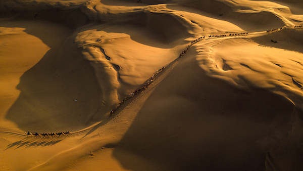 响沙湾,沙漠,度假地,景区,旅游,图片,照片,摄影,内蒙古响沙湾,内蒙古旅游,鄂尔多斯市旅游,莲花酒店,莲花度假酒店,莲沙度假岛,福沙度假岛,悦沙休闲岛,仙沙休闲岛,一粒沙度假村,在线预订,预定,旅行社,AAAAA,5A级旅游景区,库布齐,库布其沙漠,库布其旅游