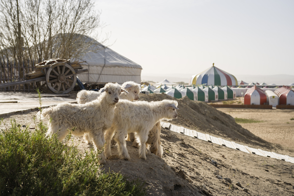 响沙湾,沙漠,度假地,景区,旅游,图片,照片,摄影,内蒙古响沙湾,内蒙古旅游,鄂尔多斯市旅游,莲花酒店,莲花度假酒店,莲沙度假岛,福沙度假岛,悦沙休闲岛,仙沙休闲岛,一粒沙度假村,在线预订,预定,旅行社,AAAAA,5A级旅游景区,库布齐,库布其沙漠,库布其旅游
