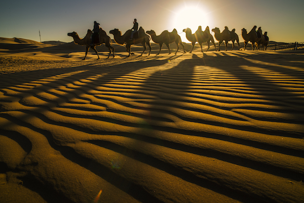 响沙湾,沙漠,度假地,景区,旅游,图片,照片,摄影,内蒙古响沙湾,内蒙古旅游,鄂尔多斯市旅游,莲花酒店,莲花度假酒店,莲沙度假岛,福沙度假岛,悦沙休闲岛,仙沙休闲岛,一粒沙度假村,在线预订,预定,旅行社,AAAAA,5A级旅游景区,库布齐,库布其沙漠,库布其旅游