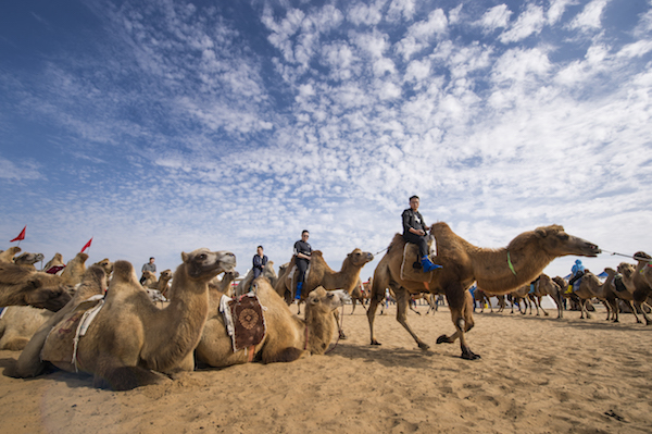 响沙湾,沙漠,度假地,景区,旅游,图片,照片,摄影,内蒙古响沙湾,内蒙古旅游,鄂尔多斯市旅游,莲花酒店,莲花度假酒店,莲沙度假岛,福沙度假岛,悦沙休闲岛,仙沙休闲岛,一粒沙度假村,在线预订,预定,旅行社,AAAAA,5A级旅游景区,库布齐,库布其沙漠,库布其旅游