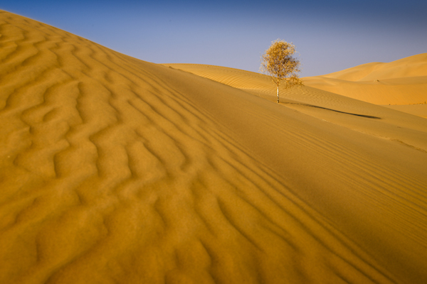 响沙湾,沙漠,度假地,景区,旅游,图片,照片,摄影,内蒙古响沙湾,内蒙古旅游,鄂尔多斯市旅游,莲花酒店,莲花度假酒店,莲沙度假岛,福沙度假岛,悦沙休闲岛,仙沙休闲岛,一粒沙度假村,在线预订,预定,旅行社,AAAAA,5A级旅游景区,库布齐,库布其沙漠,库布其旅游