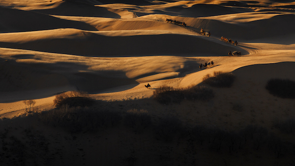 响沙湾,沙漠,度假地,景区,旅游,图片,照片,摄影,内蒙古响沙湾,内蒙古旅游,鄂尔多斯市旅游,莲花酒店,莲花度假酒店,莲沙度假岛,福沙度假岛,悦沙休闲岛,仙沙休闲岛,一粒沙度假村,在线预订,预定,旅行社,AAAAA,5A级旅游景区,库布齐,库布其沙漠,库布其旅游
