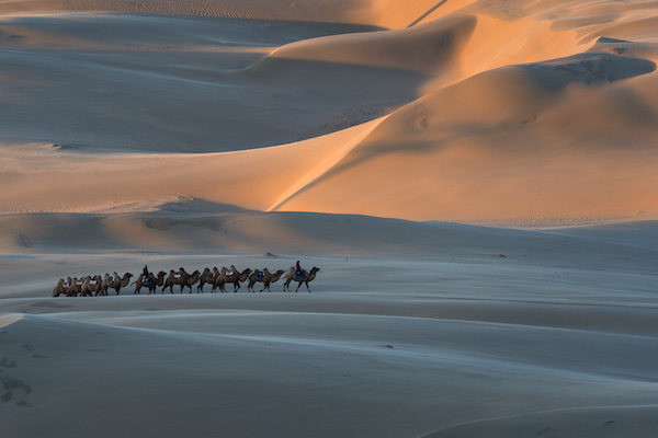 响沙湾,沙漠,度假地,景区,旅游,图片,照片,摄影,内蒙古响沙湾,内蒙古旅游,鄂尔多斯市旅游,莲花酒店,莲花度假酒店,莲沙度假岛,福沙度假岛,悦沙休闲岛,仙沙休闲岛,一粒沙度假村,在线预订,预定,旅行社,AAAAA,5A级旅游景区,库布齐,库布其沙漠,库布其旅游