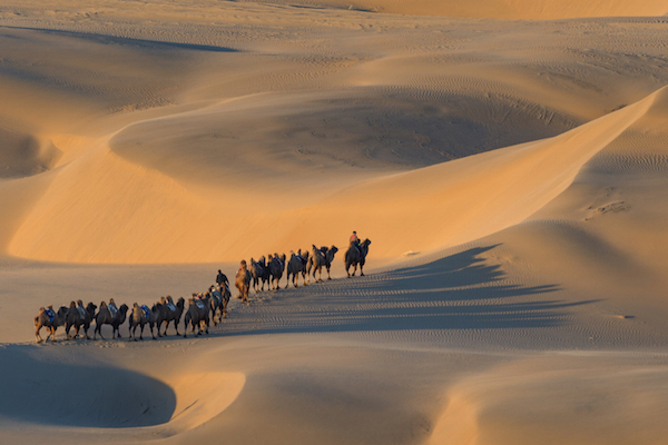响沙湾,沙漠,度假地,景区,旅游,图片,照片,摄影,内蒙古响沙湾,内蒙古旅游,鄂尔多斯市旅游,莲花酒店,莲花度假酒店,莲沙度假岛,福沙度假岛,悦沙休闲岛,仙沙休闲岛,一粒沙度假村,在线预订,预定,旅行社,AAAAA,5A级旅游景区,库布齐,库布其沙漠,库布其旅游