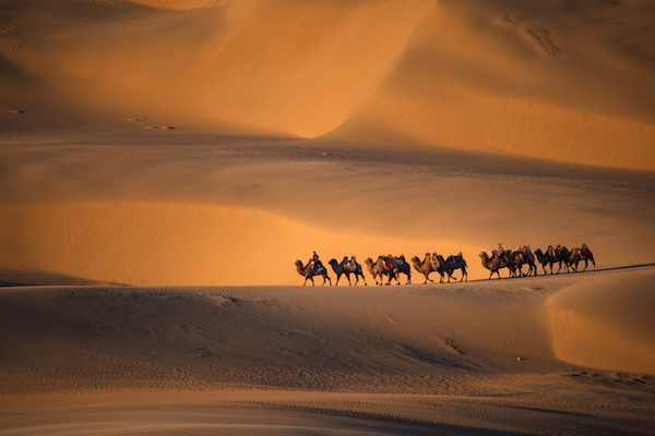 响沙湾,沙漠,度假地,景区,旅游,图片,照片,摄影,内蒙古响沙湾,内蒙古旅游,鄂尔多斯市旅游,莲花酒店,莲花度假酒店,莲沙度假岛,福沙度假岛,悦沙休闲岛,仙沙休闲岛,一粒沙度假村,在线预订,预定,旅行社,AAAAA,5A级旅游景区,库布齐,库布其沙漠,库布其旅游