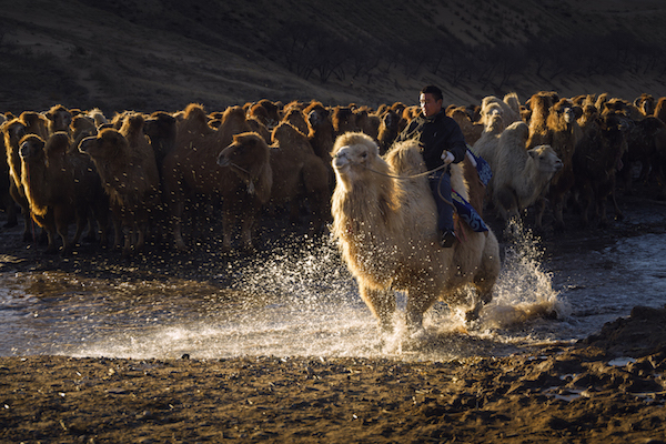 响沙湾,沙漠,度假地,景区,旅游,图片,照片,摄影,内蒙古响沙湾,内蒙古旅游,鄂尔多斯市旅游,莲花酒店,莲花度假酒店,莲沙度假岛,福沙度假岛,悦沙休闲岛,仙沙休闲岛,一粒沙度假村,在线预订,预定,旅行社,AAAAA,5A级旅游景区,库布齐,库布其沙漠,库布其旅游