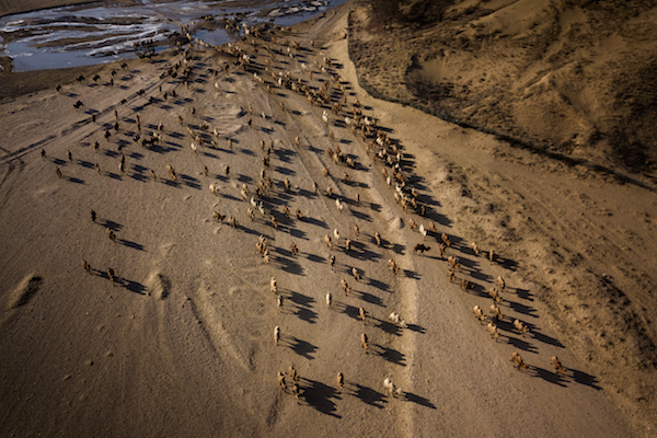 响沙湾,沙漠,度假地,景区,旅游,图片,照片,摄影,内蒙古响沙湾,内蒙古旅游,鄂尔多斯市旅游,莲花酒店,莲花度假酒店,莲沙度假岛,福沙度假岛,悦沙休闲岛,仙沙休闲岛,一粒沙度假村,在线预订,预定,旅行社,AAAAA,5A级旅游景区,库布齐,库布其沙漠,库布其旅游
