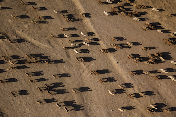 响沙湾,沙漠,度假地,景区,旅游,图片,照片,摄影,内蒙古响沙湾,内蒙古旅游,鄂尔多斯市旅游,莲花酒店,莲花度假酒店,莲沙度假岛,福沙度假岛,悦沙休闲岛,仙沙休闲岛,一粒沙度假村,在线预订,预定,旅行社,AAAAA,5A级旅游景区,库布齐,库布其沙漠,库布其旅游