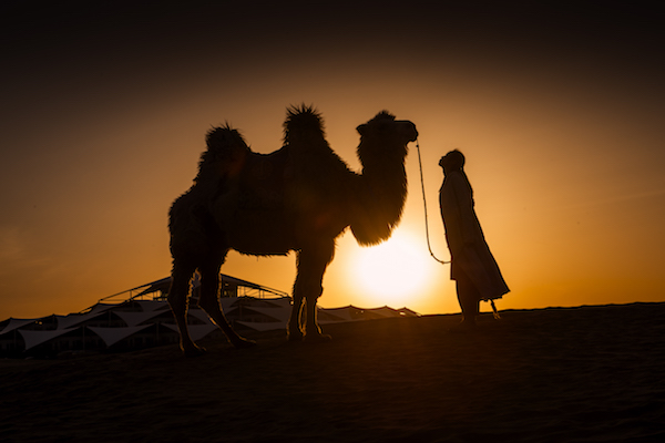 响沙湾,沙漠,度假地,景区,旅游,图片,照片,摄影,内蒙古响沙湾,内蒙古旅游,鄂尔多斯市旅游,莲花酒店,莲花度假酒店,莲沙度假岛,福沙度假岛,悦沙休闲岛,仙沙休闲岛,一粒沙度假村,在线预订,预定,旅行社,AAAAA,5A级旅游景区,库布齐,库布其沙漠,库布其旅游