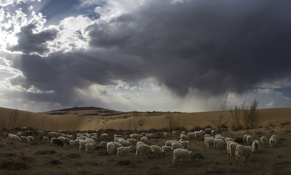 响沙湾,沙漠,度假地,景区,旅游,图片,照片,摄影,内蒙古响沙湾,内蒙古旅游,鄂尔多斯市旅游,莲花酒店,莲花度假酒店,莲沙度假岛,福沙度假岛,悦沙休闲岛,仙沙休闲岛,一粒沙度假村,在线预订,预定,旅行社,AAAAA,5A级旅游景区,库布齐,库布其沙漠,库布其旅游