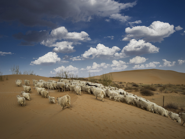 响沙湾,沙漠,度假地,景区,旅游,图片,照片,摄影,内蒙古响沙湾,内蒙古旅游,鄂尔多斯市旅游,莲花酒店,莲花度假酒店,莲沙度假岛,福沙度假岛,悦沙休闲岛,仙沙休闲岛,一粒沙度假村,在线预订,预定,旅行社,AAAAA,5A级旅游景区,库布齐,库布其沙漠,库布其旅游